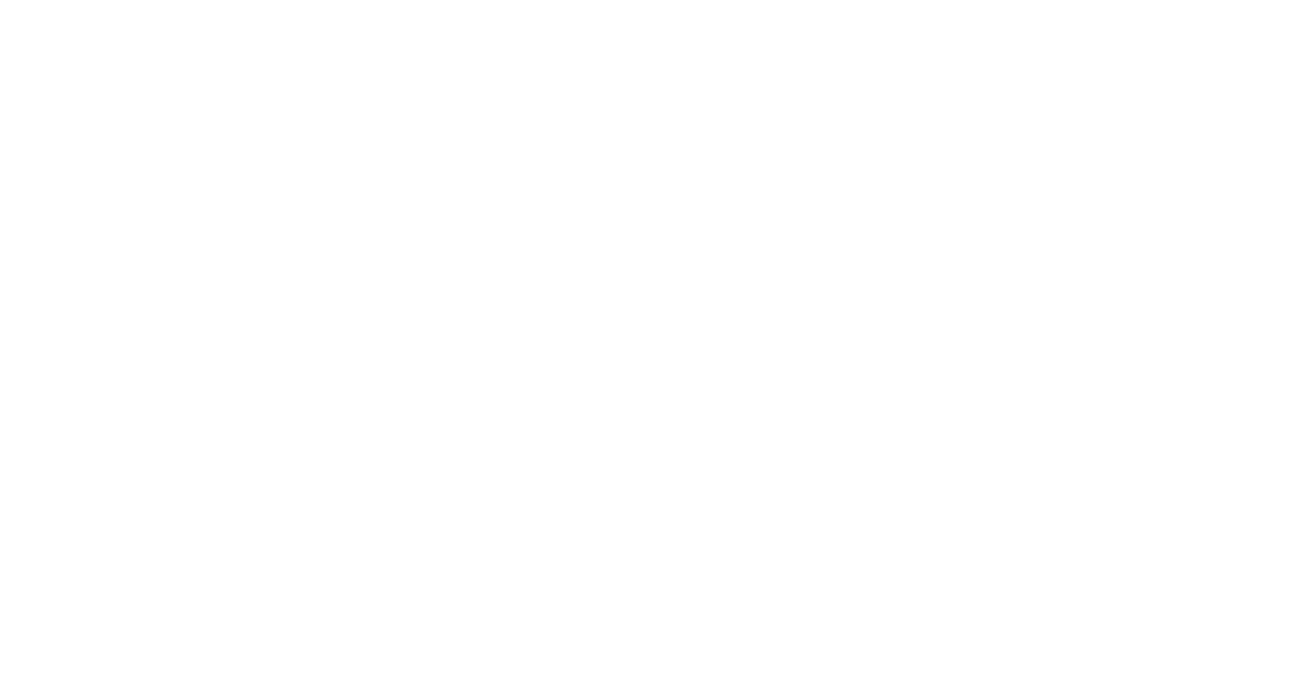 Smart Vision Group